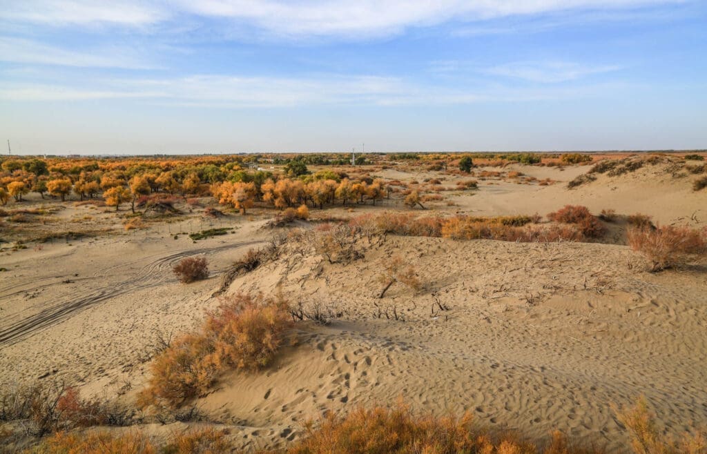 Oil and Gas Attorney Amarillo TX